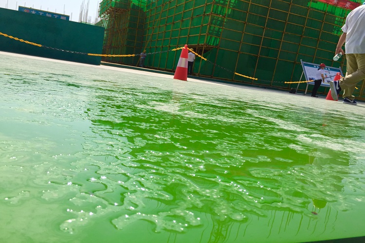 覆塑模板VS塑面建筑模板：引領(lǐng)綠色建造新時代的創(chuàng)新利器